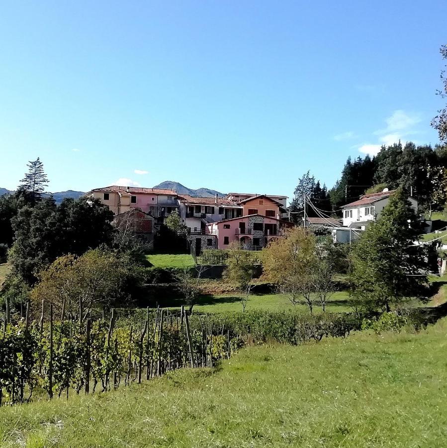 Lissahouse Agriturismo San Pietro Vara Екстер'єр фото