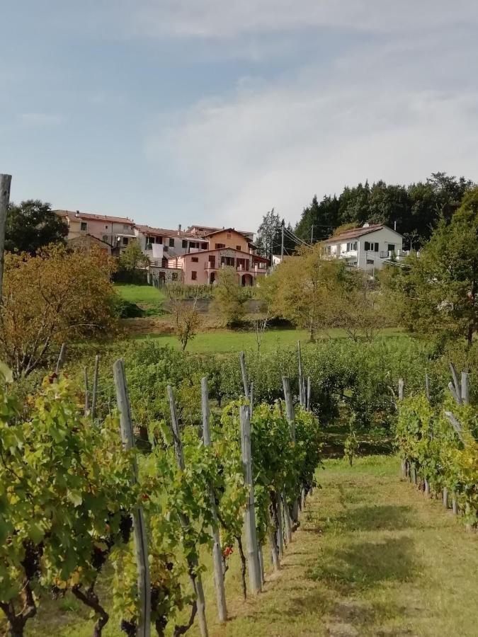 Lissahouse Agriturismo San Pietro Vara Екстер'єр фото
